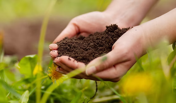 Sustainable Development